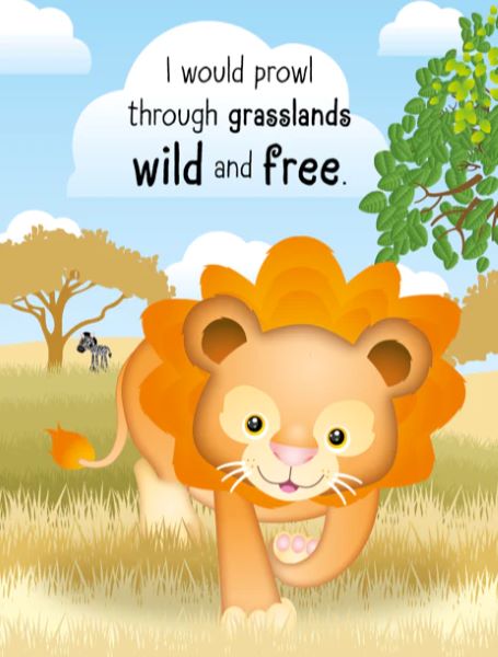 Touch and Feel Silicone Board Book - If I were a Lion – Katsu Kids