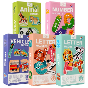 Magnetic Vehicle Puzzles