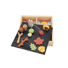 Load image into Gallery viewer, My Little Forest - Wooden Sorting Play Box - Tooky Toy