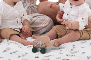 Grow Baby - Elephant Push Toy