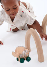 Load image into Gallery viewer, Grow Baby - Elephant Push Toy