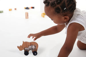 Grow Baby - Rhino Push Toy