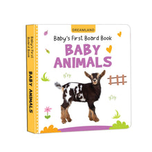 Load image into Gallery viewer, Baby's First Books - Set of 20