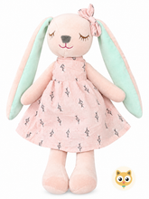 Load image into Gallery viewer, Rose Rabbit - Pink Dress
