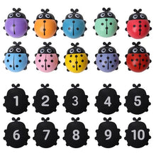 Load image into Gallery viewer, Ladybug Number Puzzle