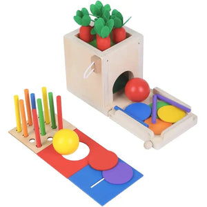 4 In 1 Wooden  Montessori Play Set