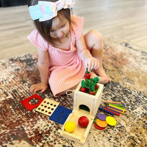 4 In 1 Wooden  Montessori Play Set