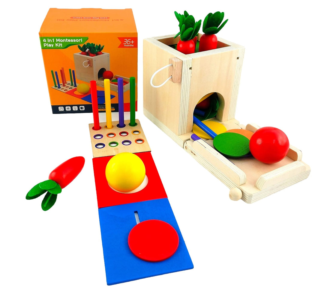 4 In 1 Wooden  Montessori Play Set