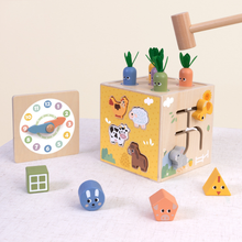 Load image into Gallery viewer, Activity Play Cube- Tooky Toy