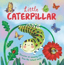 Load image into Gallery viewer, Mini Padded Padded Story Book- Little Caterpillar