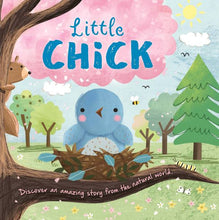 Load image into Gallery viewer, Mini Padded Story Book- Little Chick