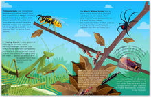 Load image into Gallery viewer, Lift the Flap Book - Learn About Bugs