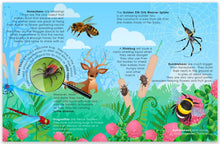 Load image into Gallery viewer, Lift the Flap Book - Learn About Bugs