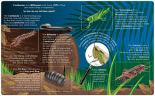 Load image into Gallery viewer, Lift the Flap Book - Learn About Bugs