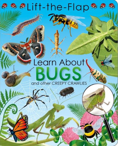 Lift the Flap Book - Learn About Bugs