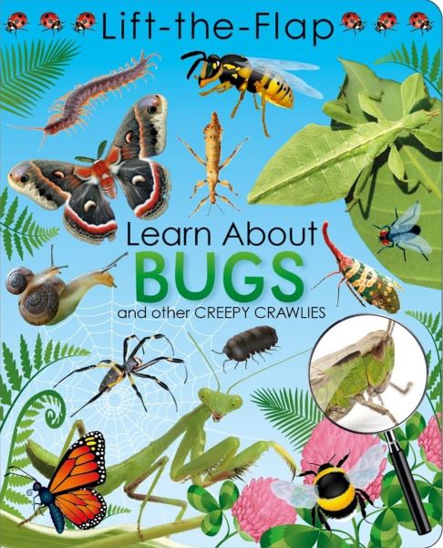 Lift the Flap Book - Learn About Bugs