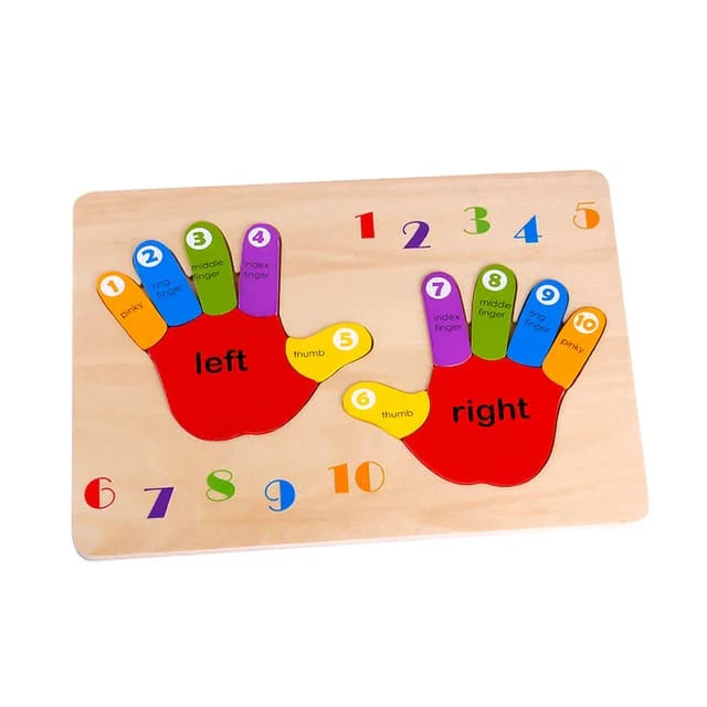 Hand Puzzle - Tooky Toy