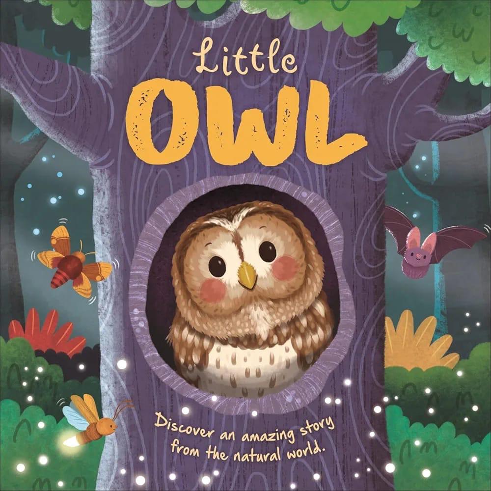 Little Owl - Padded Board Book