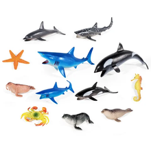 Load image into Gallery viewer, Marine Creatures 12Pc