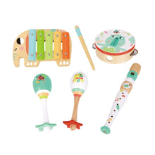 Load image into Gallery viewer, Tooky Toy Musical Instrument Set