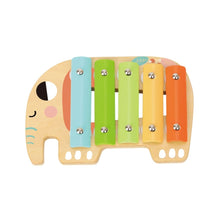 Load image into Gallery viewer, Tooky Toy Musical Instrument Set