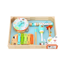 Load image into Gallery viewer, Tooky Toy Musical Instrument Set