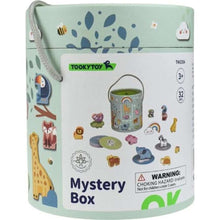 Load image into Gallery viewer, Mystery Touch Bucket - Tooky Toy